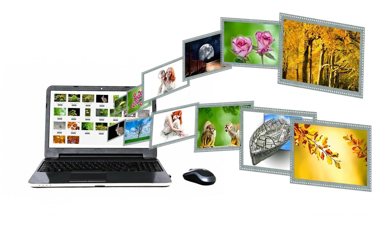 internet, content, portal